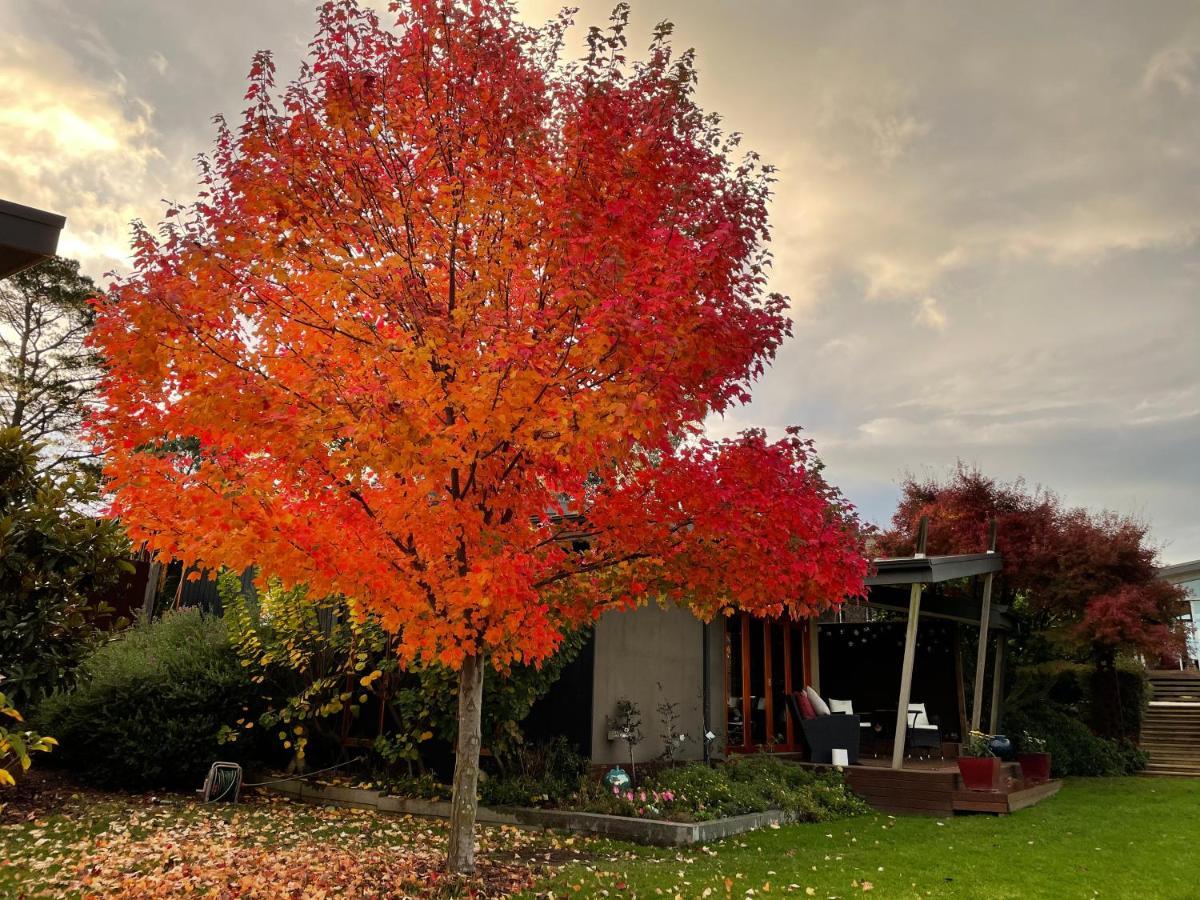 The Studio - Yarra Valley Yarra Glen Exterior photo