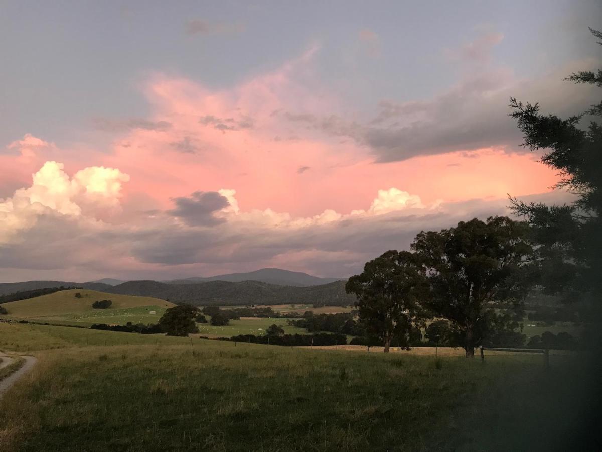 The Studio - Yarra Valley Yarra Glen Exterior photo
