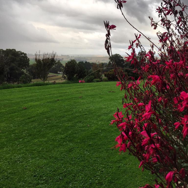 The Studio - Yarra Valley Yarra Glen Exterior photo